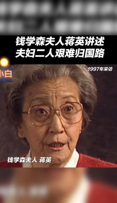 监禁24小时在线观看,揭秘高墙内的真实世界